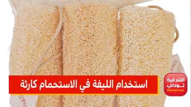 هاني الناظر يحذر: استخدام الليفة في الاستحمام كارثة يجب التوقف عنها فورًا (فيديو) 9 استخدام الليفة في الاستحمام كارثة