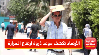 "لسه التقيل جاي".. الأرصاد تكشف موعد ذروة ارتفاع الحرارة.. القاهرة تسجل 38 درجة (فيديو) 1 الأرصاد تكشف موعد ذروة ارتفاع الحرارة