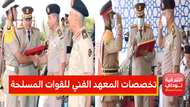 تخصصات المعهد