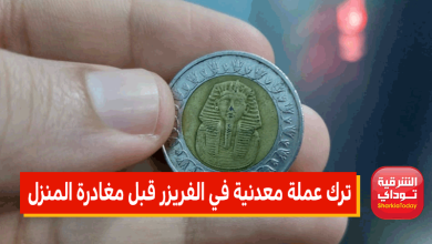 خلي بالك قبل إجازة العيد.. لهذا السبب يجب ترك عملة معدنية في الفريزر قبل مغادرة المنزل لفترة طويلة!! 4 ترك عملة معدنية في الفريزر قبل مغادرة المنزل