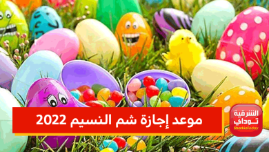 موعد إجازة شم النسيم 2022 2 موعد إجازة شم النسيم 2022