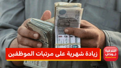 زيادة شهرية على مرتبات الموظفين تصل 650 جنيه 2 زيادة شهرية على مرتبات الموظفين