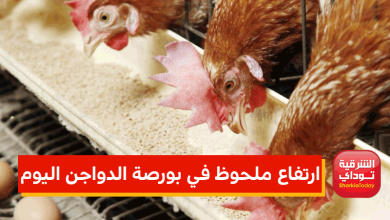 بورصة الدواجن