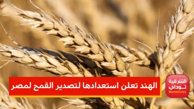 ثسقيفلاتنم 1