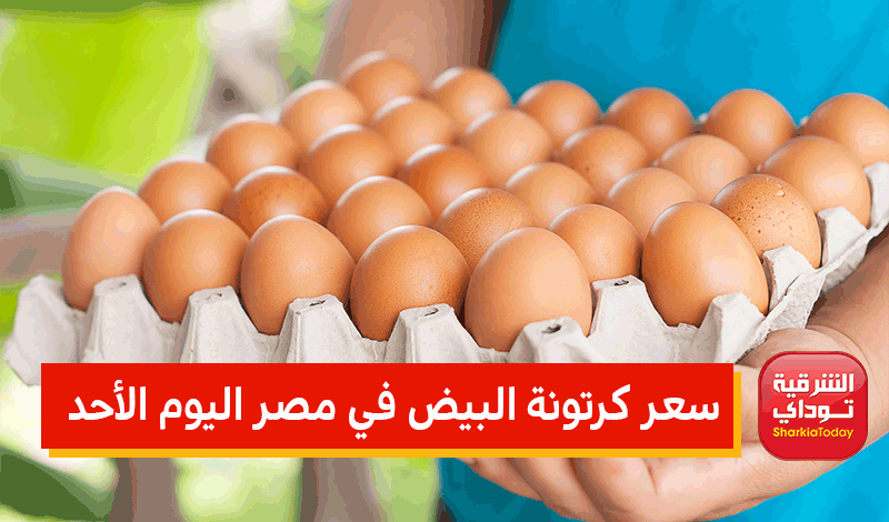 سعر كرتونة البيض في مصر اليوم الأحد