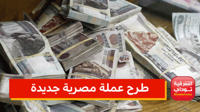 طرح عملة مصرية جديدة