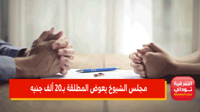 مجلس الشيوخ يعوض المطلقة بـ20 ألف جنيه