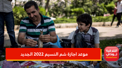 موعد اجازة شم النسيم 2022 الجديد.. تغيير موعد إجازة شم النسيم وترحيلها لهذا اليوم 4 موعد اجازة شم النسيم 2022 الجديد