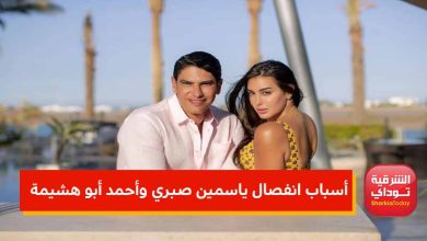 أسباب انفصال ياسمين موقع