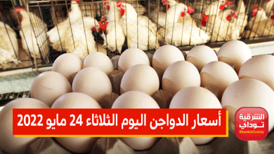أسعار الدواجن اليوم الثلاثاء 24 مايو 2022