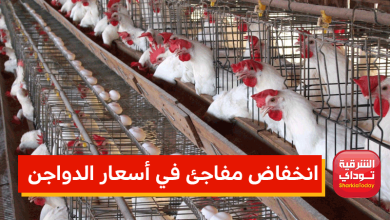 أسعار الدواجن6