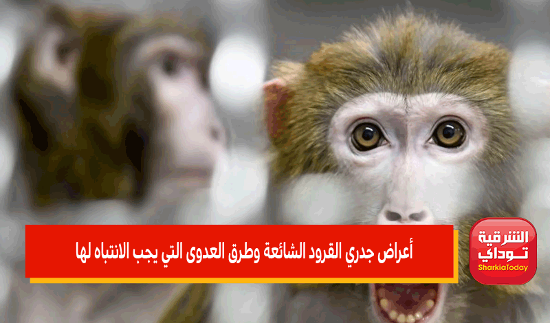 أعراض جدري القرود الشائعة