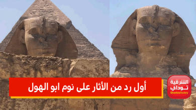 أول رد من الأثار على نوم ابو الهول