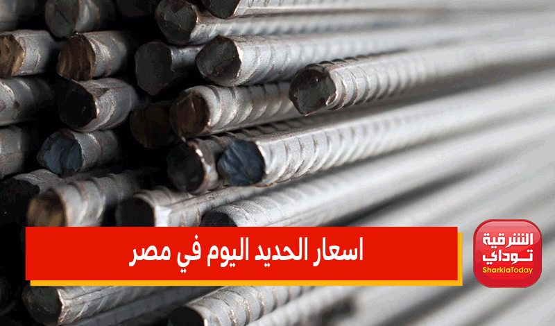 أسعار الحديد في مصر الاثنين