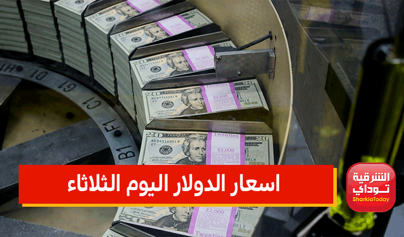 "اللي بيعمله في الجنيه ده حرام".. ارتفاع جديد في اسعار الدولار اليوم الثلاثاء 10 مايو 2022 (آخر تحديث) 5 اسعار الدولار اليوم