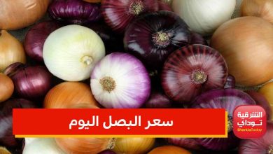سعر البصل اليوم في الأسواق المصرية والطريقة الصحيحة لتخزين البصل في المنزل 2 البصل موقع 3
