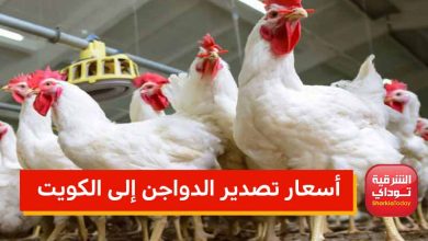 الدواجن موقع