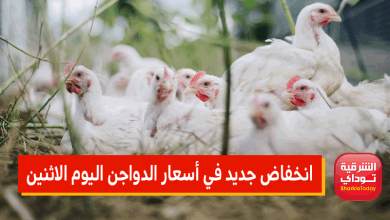 انخفاض جديد في أسعار الدواجن اليوم الاثنين