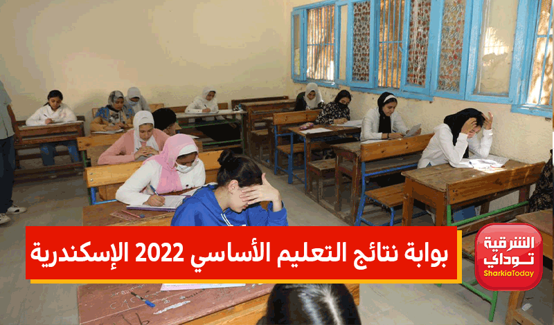 بوابة نتائج التعليم الأساسي 2022 الإسكندرية