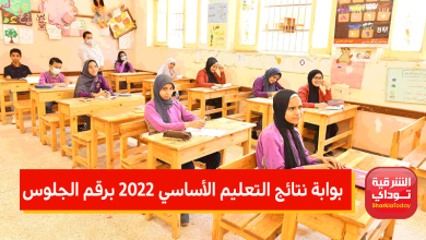 بوابة نتائج التعليم الأساسي 2022 برقم الجلوس نتيجة طلاب جميع المحافظات.. وطريقة الاستعلام 1 بوابة نتائج التعليم الأساسي 2022 برقم الجلوس