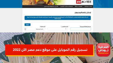 تسجيل رقم الموبايل على موقع دعم مصر الآن 2022