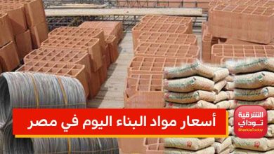 أسعار مواد البناء اليوم الثلاثاء 31 مايو 2022.. الحديد ينهاااار يتراجع 3000 جنيه 1 تصميم صورة الموقع 10