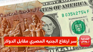 سر ارتفاع الجنيه المصري مقابل الدولار 5 سر ارتفاع الجنيه المصري مقابل الدولار