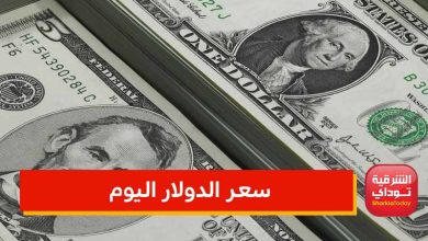 تصميم صورة الموقع 6