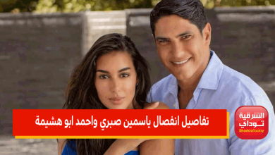تفاصيل انفصال ياسمين صبري واحمد ابو هشيمة