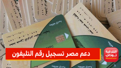 دعم مصر تسجيل رقم التليفون