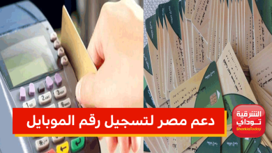 دعم مصر6