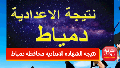 دمياط نتيجه