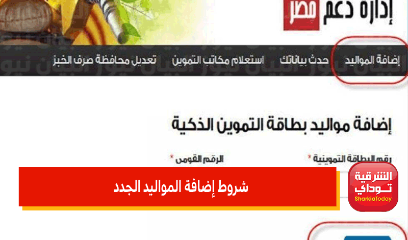 رابط موقع دعم مصر تسجيل رقم التليفون 2022