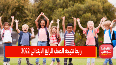 "سررريع وفعال" رابط نتيجه الصف الرابع الابتدائي 2022 الترم الثاني جميع محافظات مصر 7 رابط نتيجه الصف الرابع الابتدائي 2022