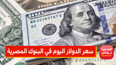 سعر الدولار اليوم في البنوك المصرية