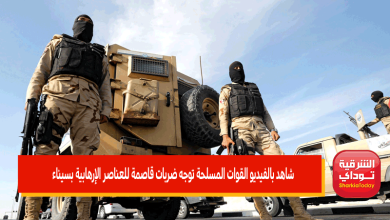 شاهد بالفيديو القوات المسلحة توجه ضربات قاصمة