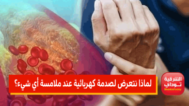 شحنة كهربائية1