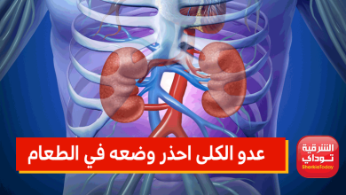 عدو الكلى احذر من وضعه في الطعام بكثرة.. تعرف عليه 3 عدو الكلى احذر وضعه في الطعام