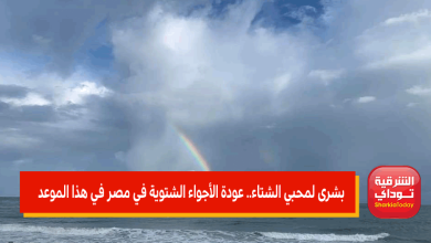 الحرارة تصل لـ20 درجة.. عودة الأجواء الشتوية في مصر مجددًا في هذا الموعد 7 عودة الأجواء الشتوية في مصر