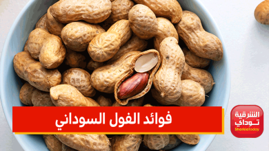 فوائد الفول السوداني.. واحذر الإفراط منه لهذه الأسباب