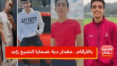 مقدار دية ضحايا الشيخ زايد