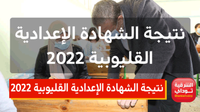ظهرت دلوقتي.. نتيجة الشهادة الإعدادية القليوبية 2022 الترم الثاني برقم الجلوس 4 نتيجة الشهادة الإعدادية القليوبية 2022
