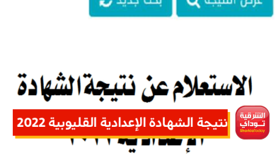 نتيجة الشهادة الإعدادية القليوبية