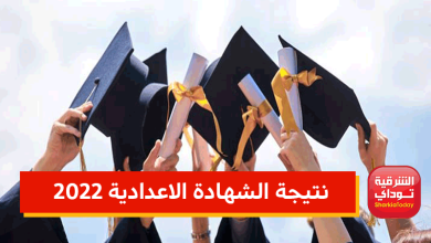 رابط نتيجة ثالثة إعدادي 2022 برقم الجلوس على موقع وزارة التربية والتعليم الآن 32 نتيجة الشهادة3