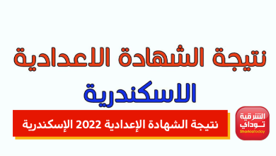 نتيجة موقع 1 1