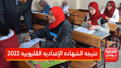 نتيجه الشهاده الإعداديه القليوبيه 2022