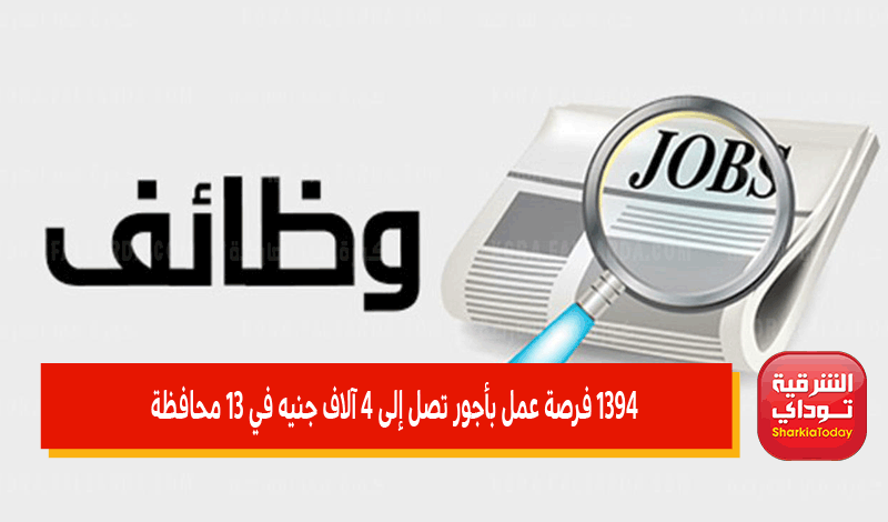 1394 فرصة عمل بأجور تصل إلى 4 آلاف جنيه في 13 محافظة 4 1394 فرصة عمل