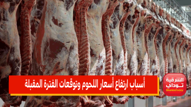 أسباب ارتفاع أسعار اللحوم وتوقعات الفترة المقبلة 5 أسباب ارتفاع أسعار اللحوم
