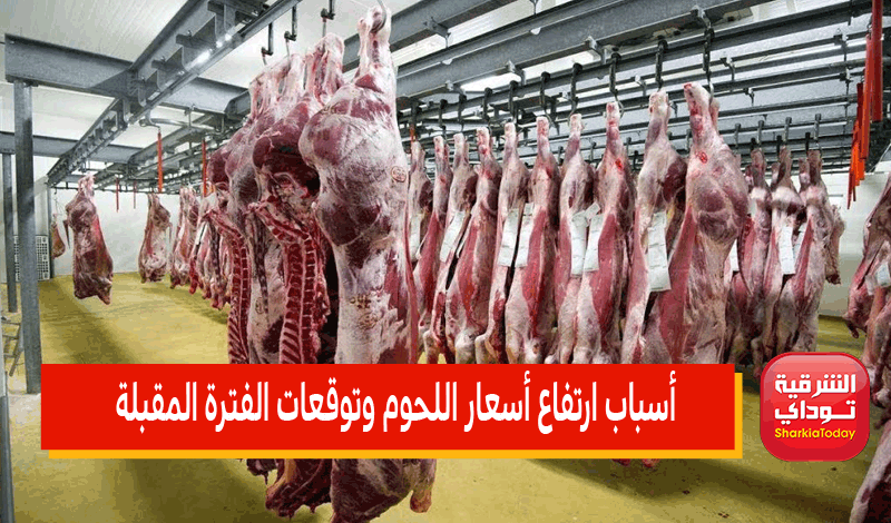 أسباب ارتفاع أسعار اللحوم