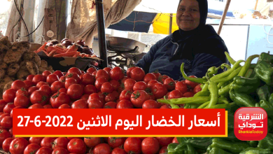 أسعار الخضار اليوم الاثنين 27-6-2022